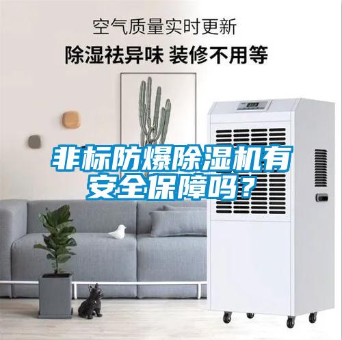 非標(biāo)防爆除濕機(jī)有安全保障嗎？
