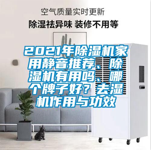 2021年除濕機(jī)家用靜音推薦、除濕機(jī)有用嗎、哪個(gè)牌子好？去濕機(jī)作用與功效