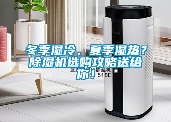 冬季濕冷，夏季濕熱？除濕機選購攻略送給你！