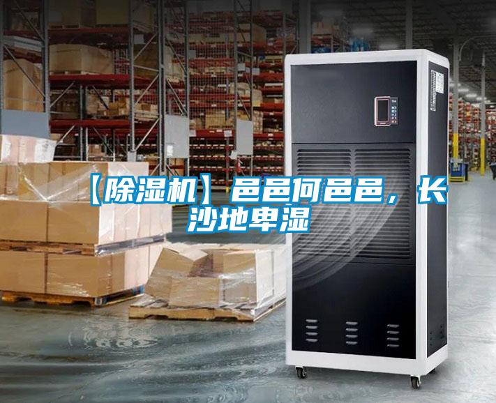 【除濕機(jī)】邑邑何邑邑，長(zhǎng)沙地卑濕