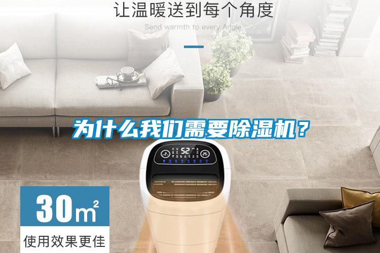 為什么我們需要除濕機？