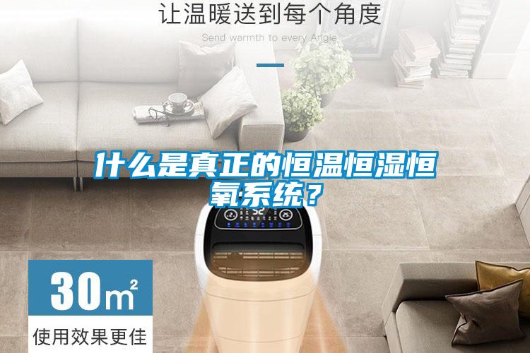 什么是真正的恒溫恒濕恒氧系統(tǒng)？