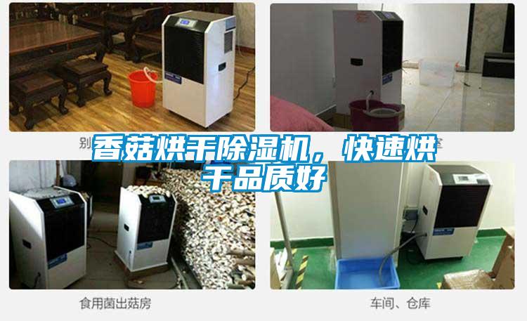香菇烘干除濕機(jī)，快速烘干品質(zhì)好