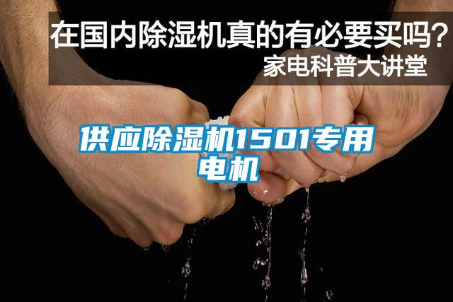 供應(yīng)除濕機(jī)1501專(zhuān)用電機(jī)