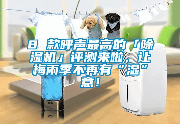 8 款呼聲最高的「除濕機(jī)」評(píng)測(cè)來(lái)啦，讓梅雨季不再有“濕”意！