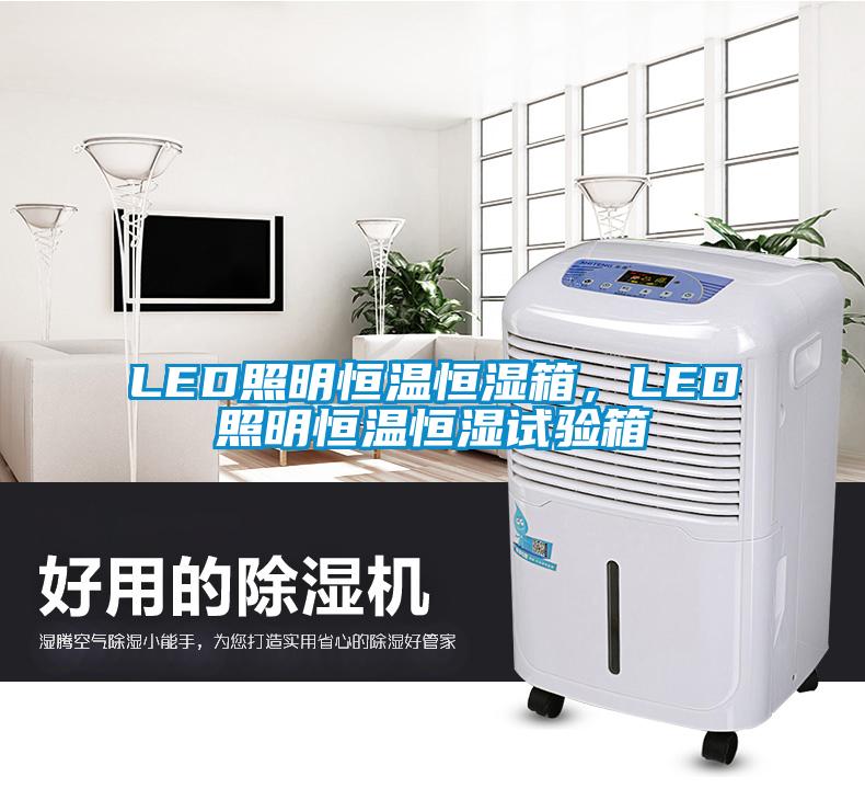 LED照明恒溫恒濕箱，LED照明恒溫恒濕試驗(yàn)箱