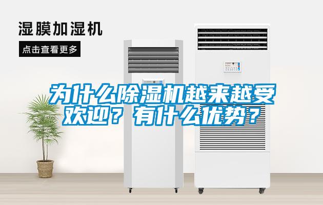 為什么除濕機越來越受歡迎？有什么優(yōu)勢？