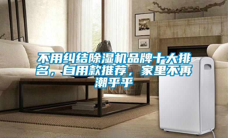 不用糾結(jié)除濕機品牌十大排名，自用款推薦，家里不再潮乎乎