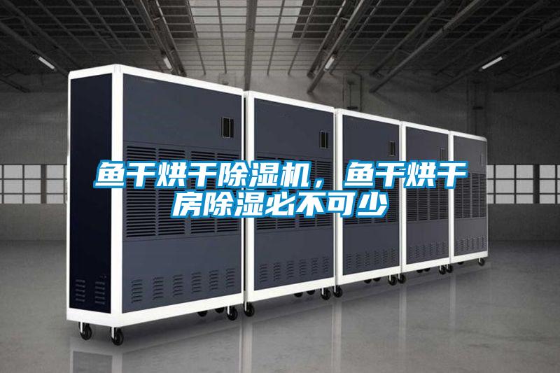 魚干烘干除濕機(jī)，魚干烘干房除濕必不可少
