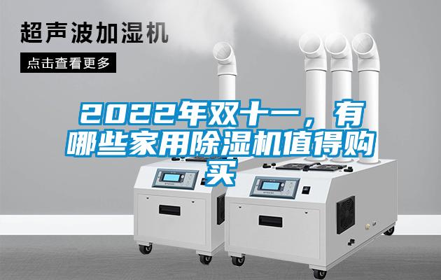 2022年雙十一，有哪些家用除濕機(jī)值得購(gòu)買