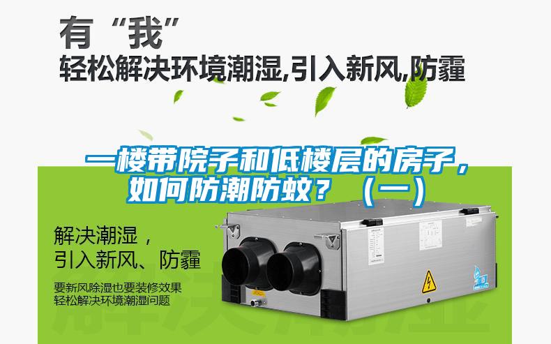 一樓帶院子和低樓層的房子，如何防潮防蚊？（一）