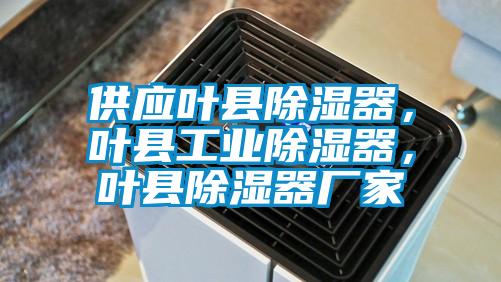 供應(yīng)葉縣除濕器，葉縣工業(yè)除濕器，葉縣除濕器廠家