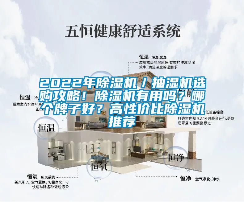 2022年除濕機(jī)／抽濕機(jī)選購攻略！除濕機(jī)有用嗎？哪個牌子好？高性價(jià)比除濕機(jī)推薦
