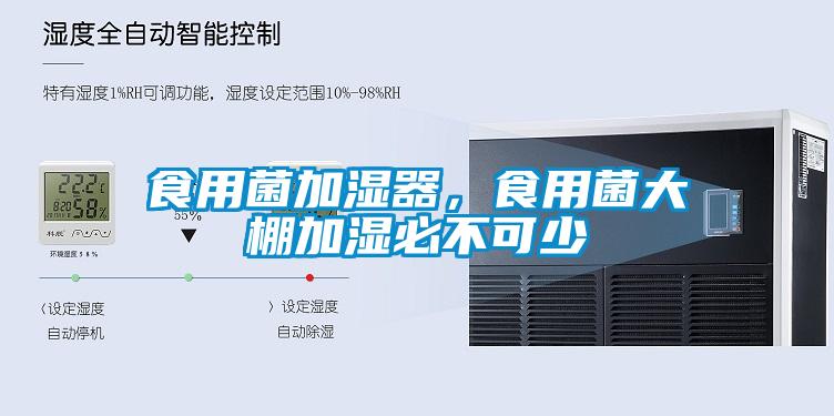 食用菌加濕器，食用菌大棚加濕必不可少