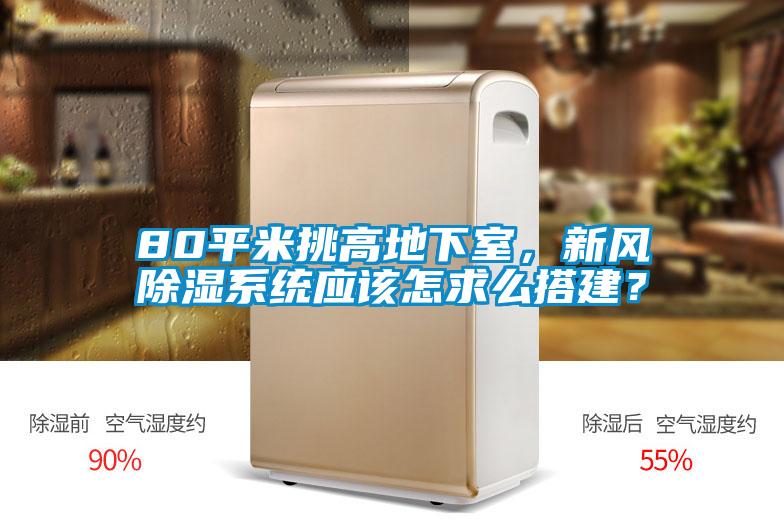 80平米挑高地下室，新風(fēng)除濕系統(tǒng)應(yīng)該怎求么搭建？