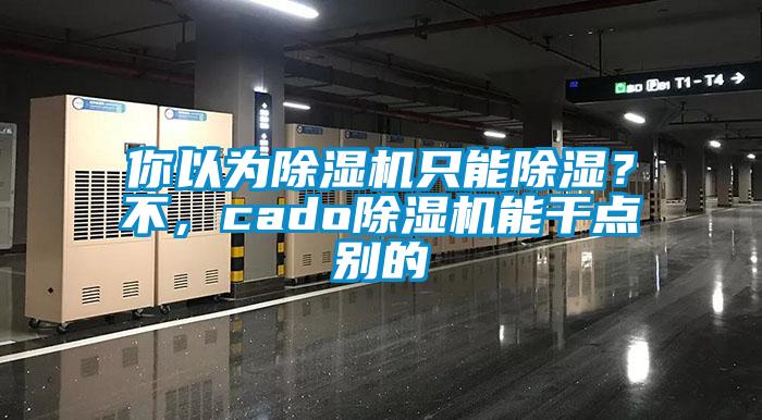 你以為除濕機只能除濕？不，cado除濕機能干點別的