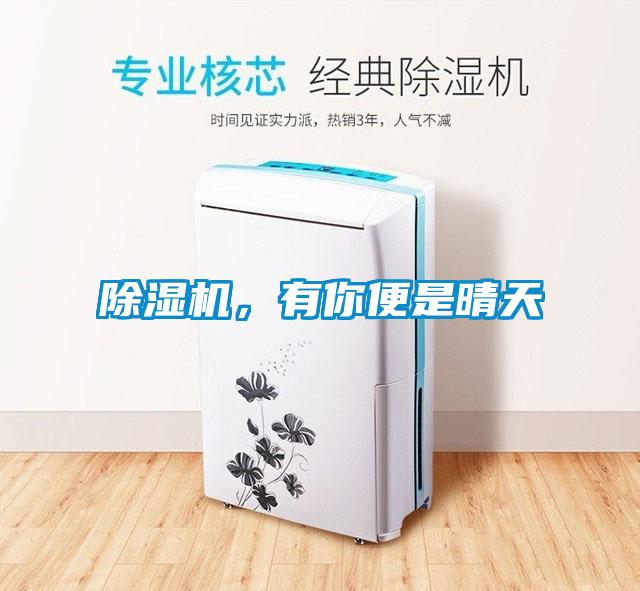 除濕機(jī)，有你便是晴天