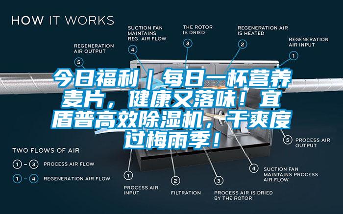 今日福利｜每日一杯營養(yǎng)麥片，健康又落味！宜盾普高效除濕機，干爽度過梅雨季！