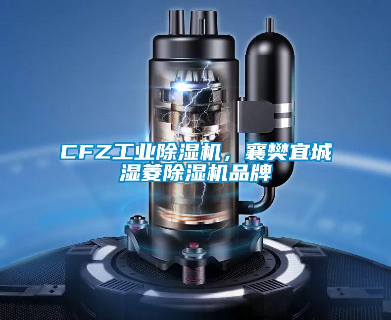 CFZ工業(yè)除濕機，襄樊宜城濕菱除濕機品牌