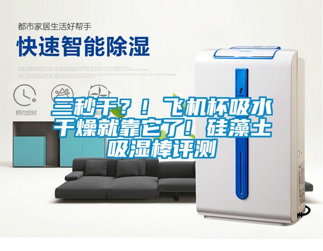 三秒干？! 飛機(jī)杯吸水干燥就靠它了! 硅藻土吸濕棒評(píng)測(cè)