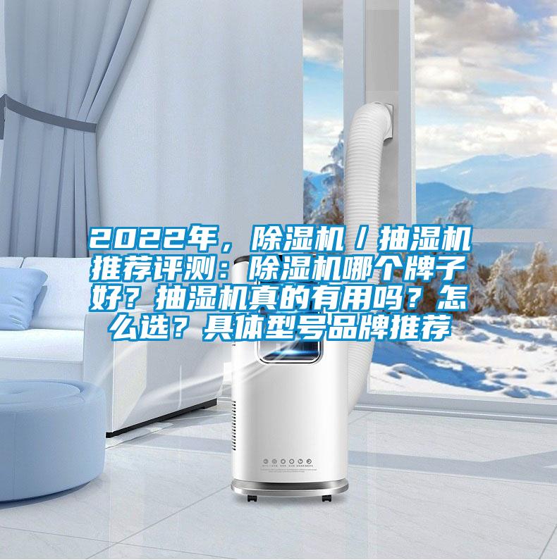 2022年，除濕機／抽濕機推薦評測：除濕機哪個牌子好？抽濕機真的有用嗎？怎么選？具體型號品牌推薦