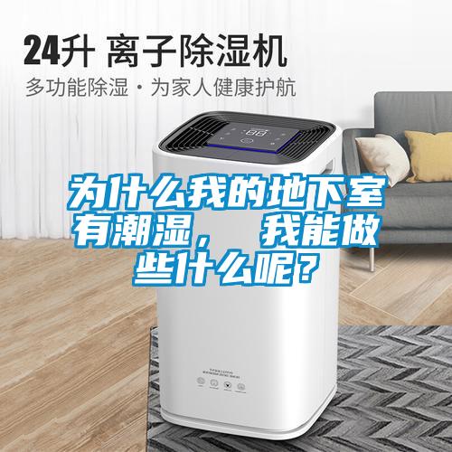 為什么我的地下室有潮濕， 我能做些什么呢？