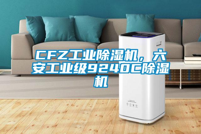 CFZ工業(yè)除濕機(jī)，六安工業(yè)級9240C除濕機(jī)