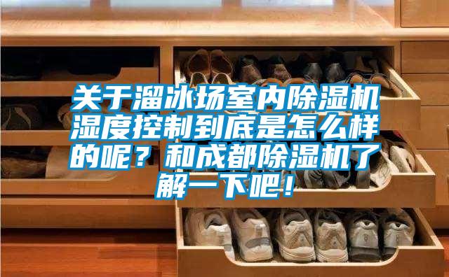 關于溜冰場室內除濕機濕度控制到底是怎么樣的呢？和成都除濕機了解一下吧！