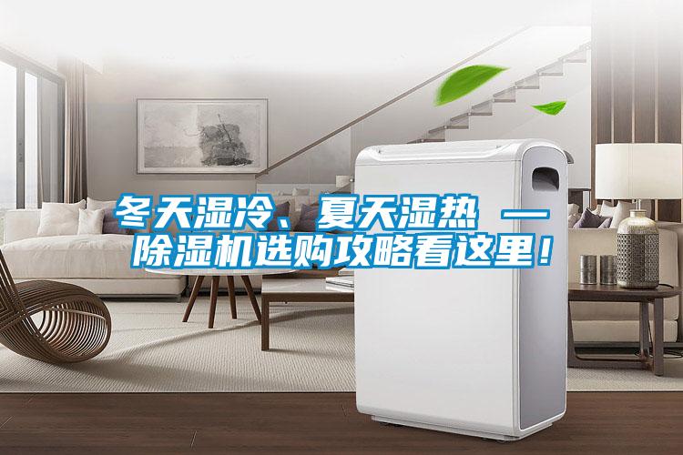 冬天濕冷、夏天濕熱 — 除濕機選購攻略看這里！