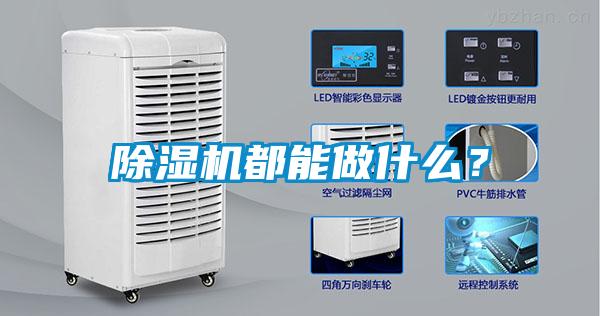 除濕機(jī)都能做什么？
