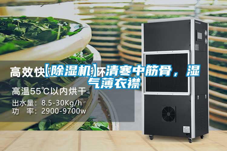 【除濕機(jī)】清寒中筋骨，濕氣薄衣襟