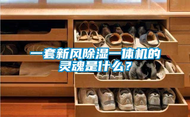 一套新風(fēng)除濕一體機(jī)的靈魂是什么？