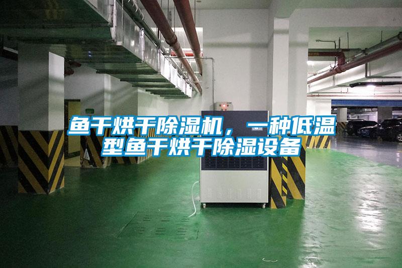 魚干烘干除濕機(jī)，一種低溫型魚干烘干除濕設(shè)備