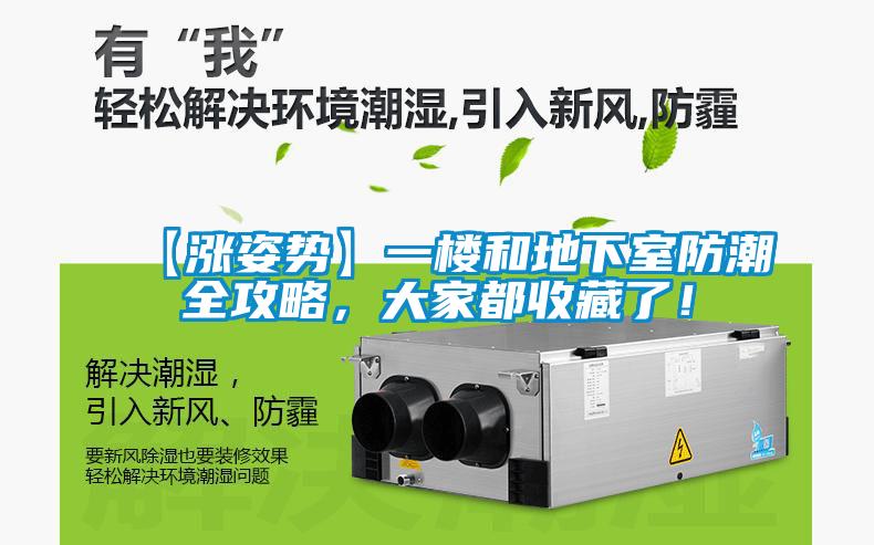 【漲姿勢】一樓和地下室防潮全攻略，大家都收藏了！