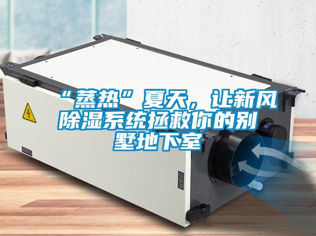 “蒸熱”夏天，讓新風(fēng)除濕系統(tǒng)拯救你的別墅地下室
