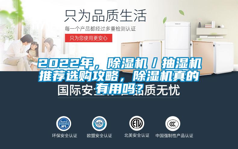 2022年，除濕機／抽濕機推薦選購攻略，除濕機真的有用嗎？