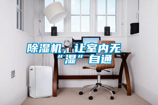 除濕機，讓室內(nèi)無“濕”自通