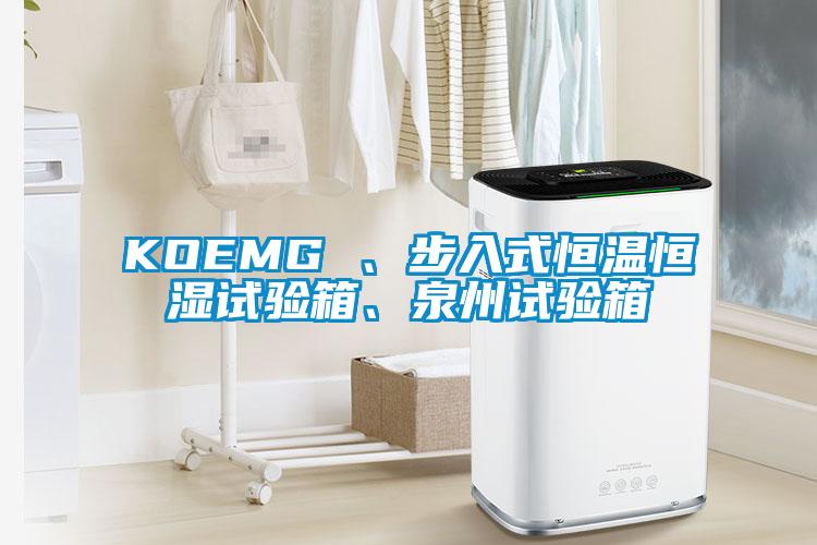 KOEMG 、步入式恒溫恒濕試驗(yàn)箱、泉州試驗(yàn)箱