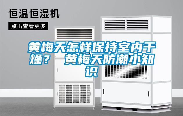 黃梅天怎樣保持室內(nèi)干燥？ 黃梅天防潮小知識