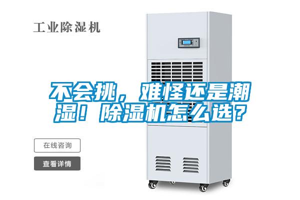 不會(huì)挑，難怪還是潮濕！除濕機(jī)怎么選？