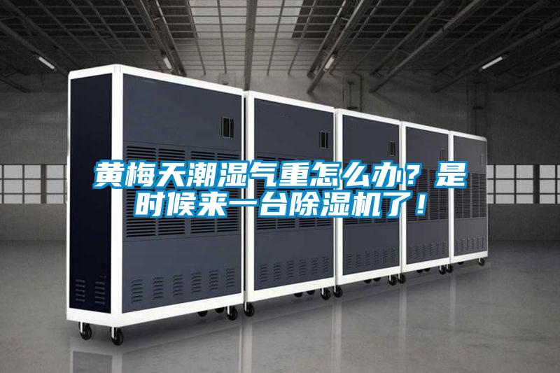 黃梅天潮濕氣重怎么辦？是時(shí)候來(lái)一臺(tái)除濕機(jī)了！