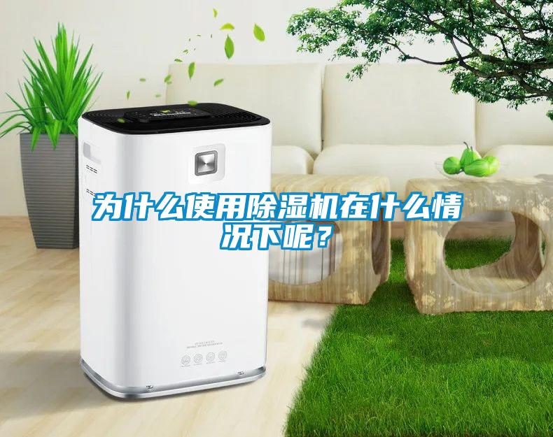 為什么使用除濕機(jī)在什么情況下呢？