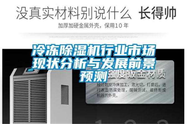 冷凍除濕機行業(yè)市場現狀分析與發(fā)展前景預測