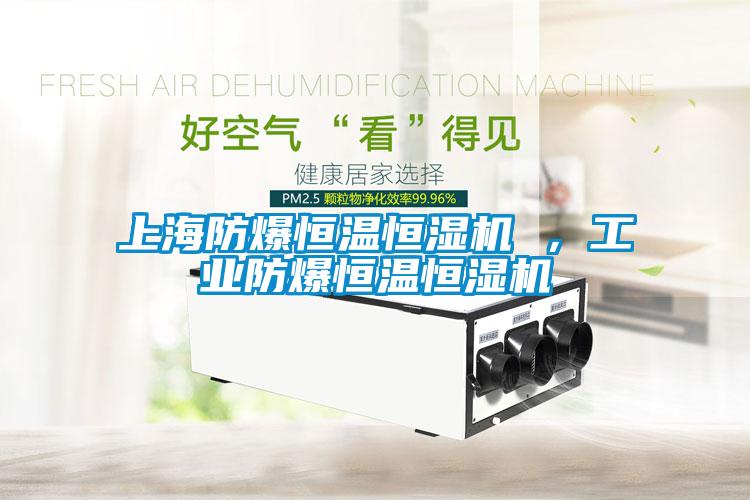 上海防爆恒溫恒濕機(jī) ，工業(yè)防爆恒溫恒濕機(jī)