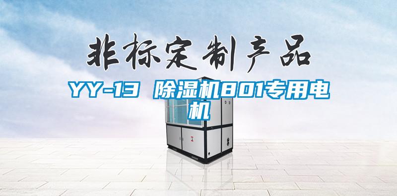 YY-13 除濕機(jī)801專(zhuān)用電機(jī)