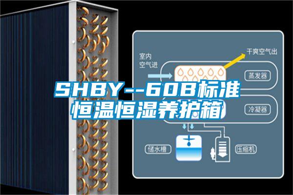 SHBY--60B標(biāo)準(zhǔn)恒溫恒濕養(yǎng)護箱
