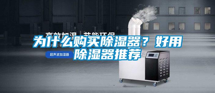 為什么購買除濕器？好用除濕器推薦