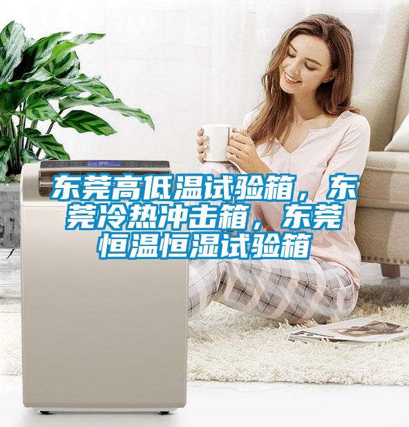 東莞高低溫試驗(yàn)箱，東莞冷熱沖擊箱，東莞恒溫恒濕試驗(yàn)箱