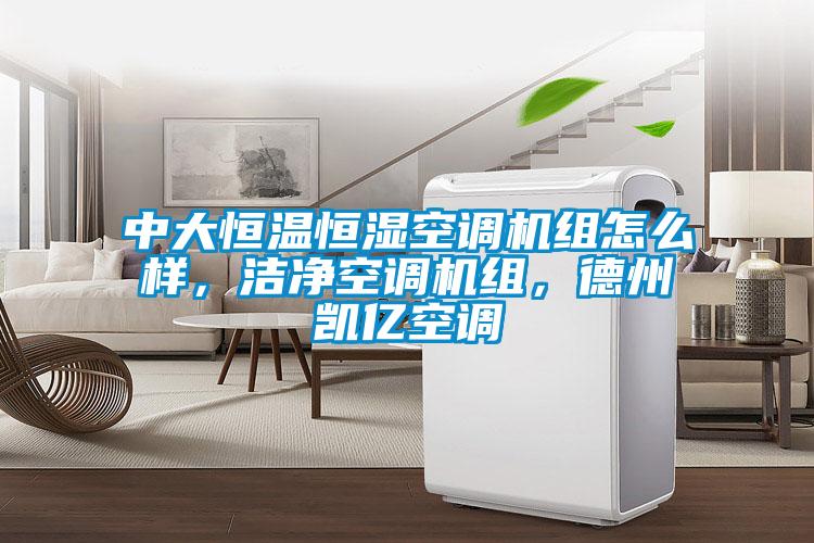中大恒溫恒濕空調(diào)機(jī)組怎么樣，潔凈空調(diào)機(jī)組，德州凱億空調(diào)