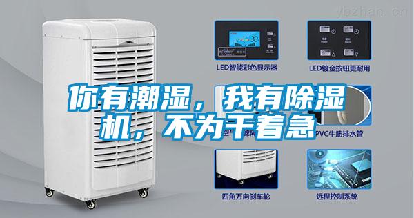 你有潮濕，我有除濕機，不為干著急